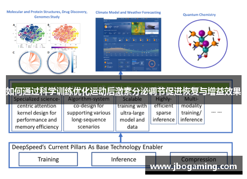 如何通过科学训练优化运动后激素分泌调节促进恢复与增益效果